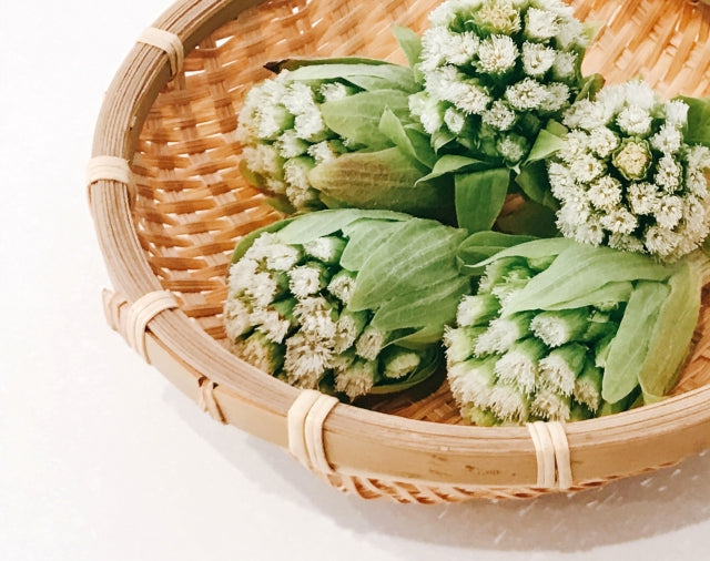 くらしの養生～春の訪れを感じるころ～